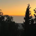 Falaride Discesa Sulla Valle Di Oro *